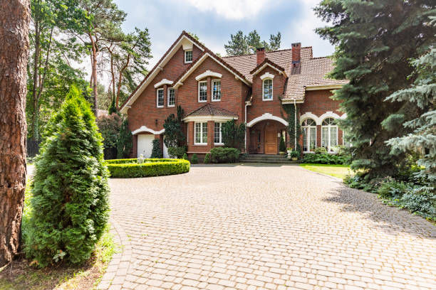 Best Driveway Paving Contractor  in Holiday Island, AR